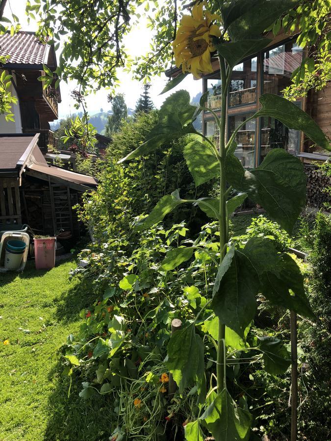 Gaestehaus Lackner Oberau Eksteriør bilde